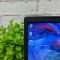 БУ Ноутбук Dell latitude 3400 14" HD Ready IPS i5 8265U 16GB RAM 256GB SSD