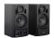 Акустическая система TF-10 Black Gemix
